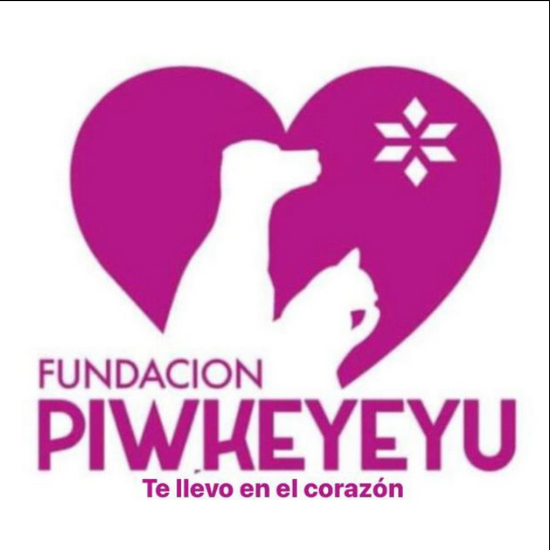 Fundación  Piwkeyeyu