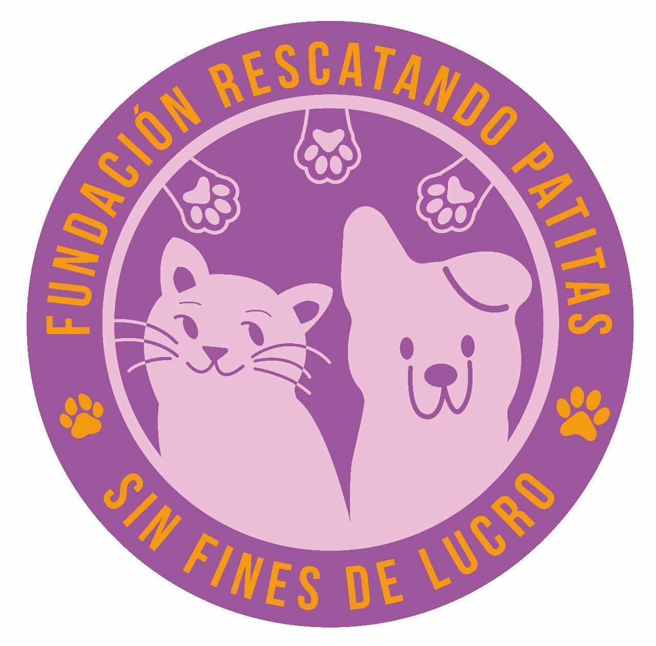 Rescatando Patitas