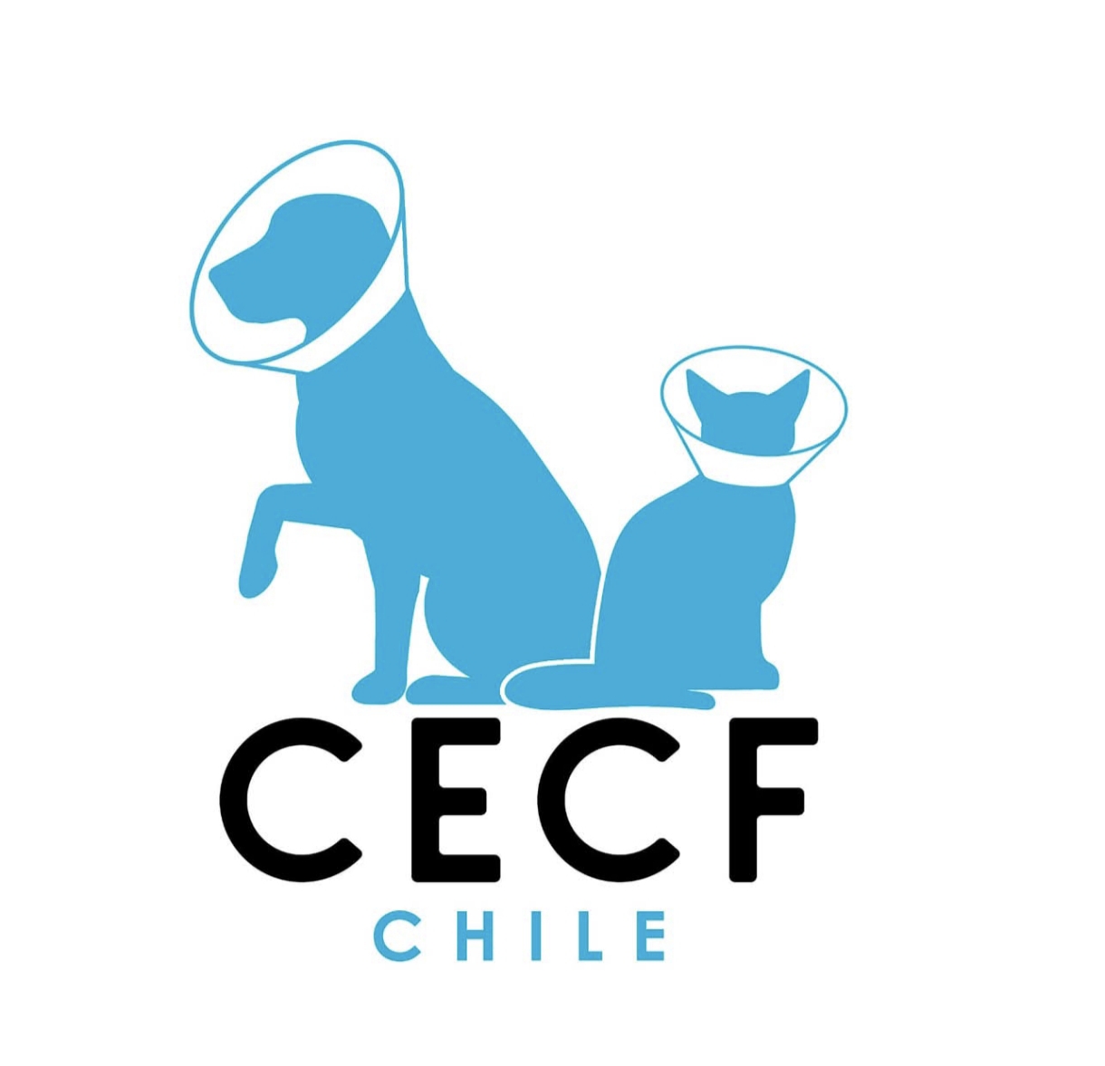 Centros de Esterilización Caninos y Felinos para Chile